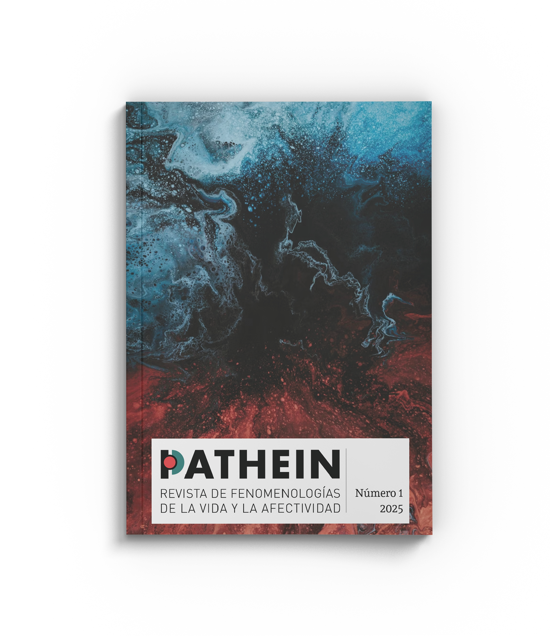					Ver Núm. 1 (2025)
				